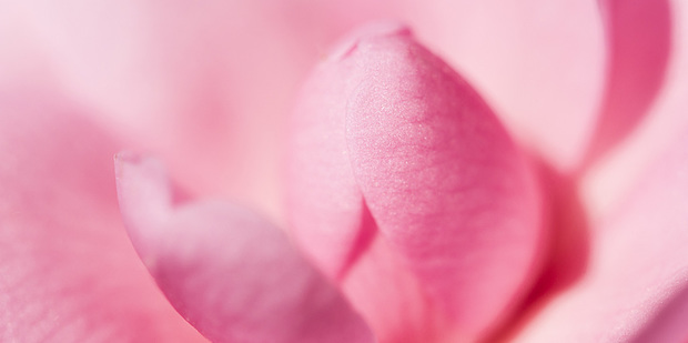 Thumb big w0040 000456 cl lr